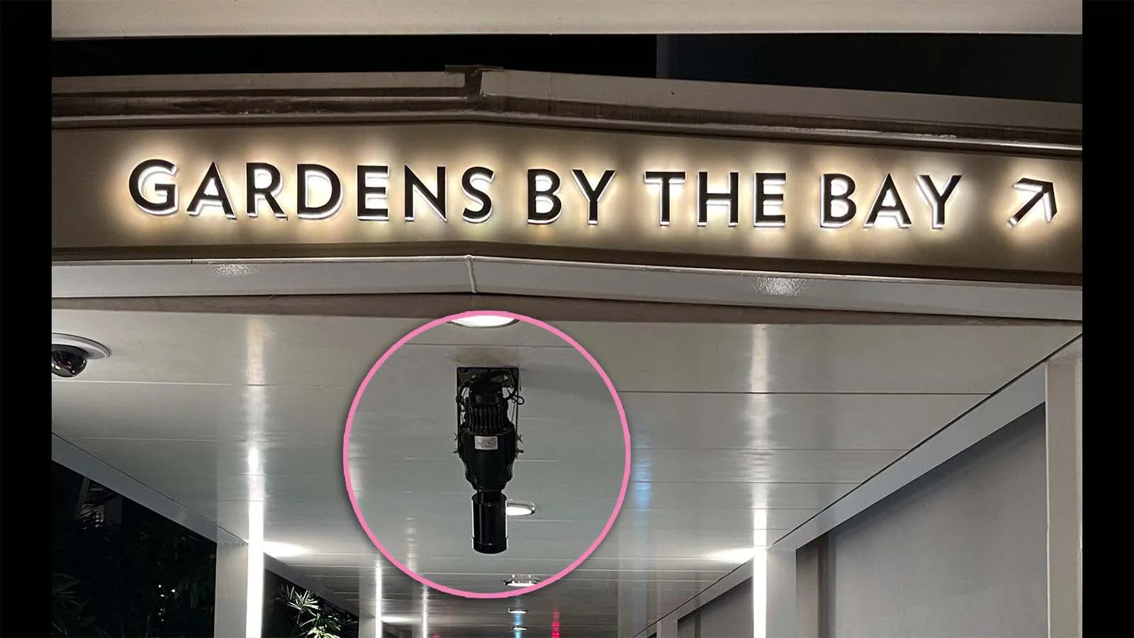 Projected logo and directional light at Gardens by the Bay